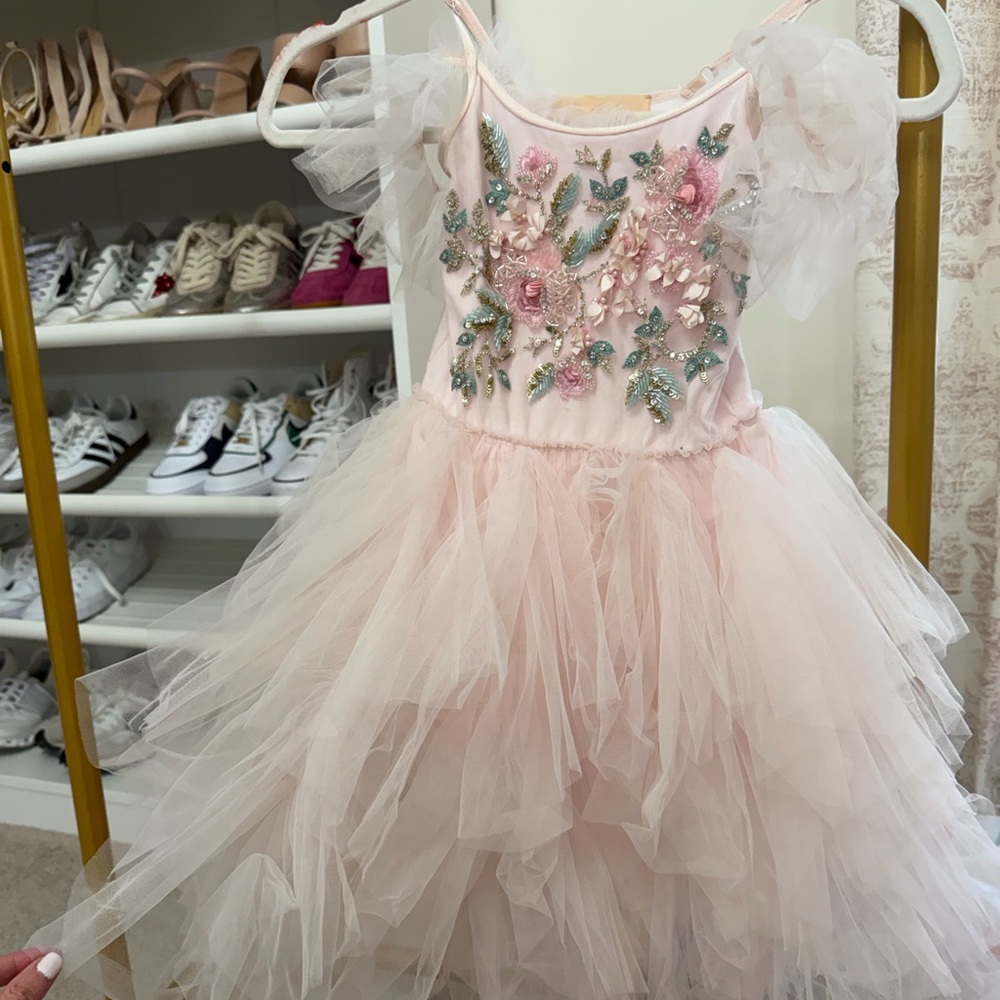 Tutu Du Monde Blush Tulle Dress with Floral Details